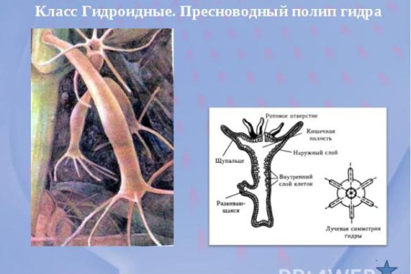 Кракен шоп интернет нарко